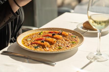 La Terraza de Calipolis (4)