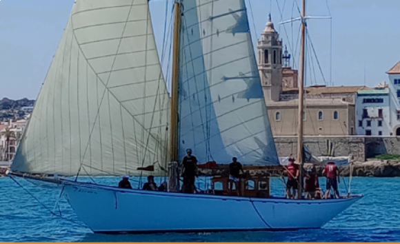 ndp vela